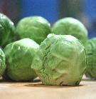 Brussel Sprouts