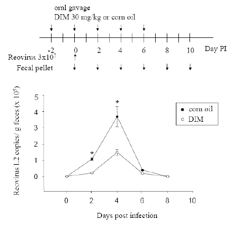 Diindolylmethane (DIM) Antiviral Activity